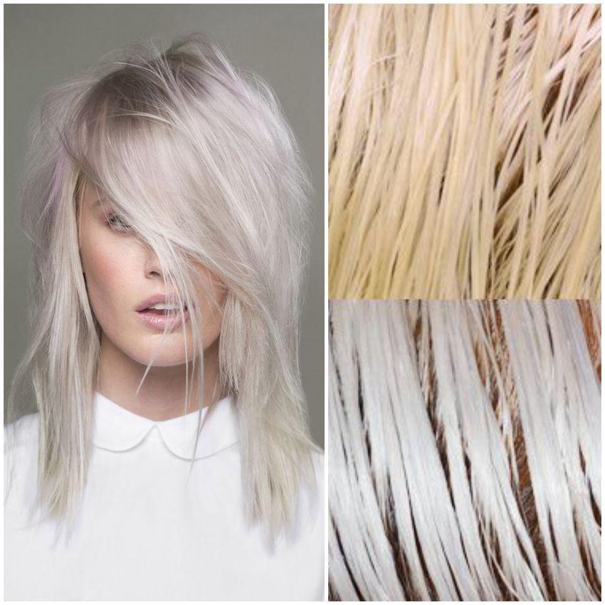 Fanola - The number One No Yellow Blonde Shampoo |  Ethan Thomas Collection